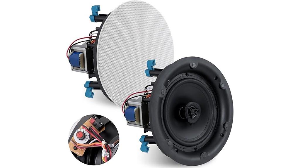 ceiling and wall speaker